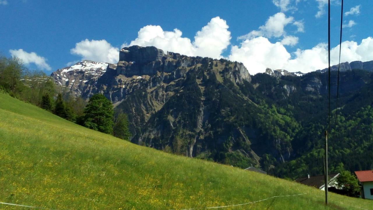 Gaestehaus Lutz Mellau Buitenkant foto