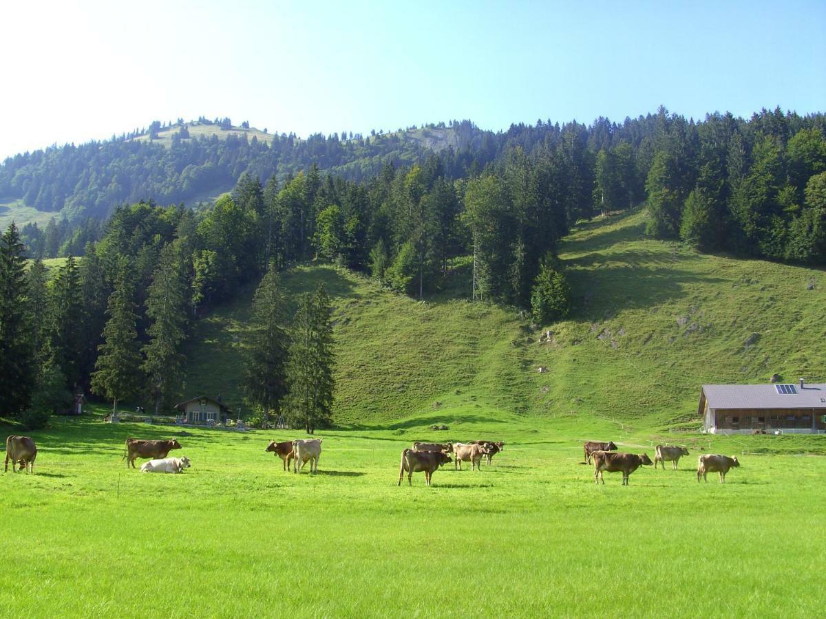 Gaestehaus Lutz Mellau Buitenkant foto